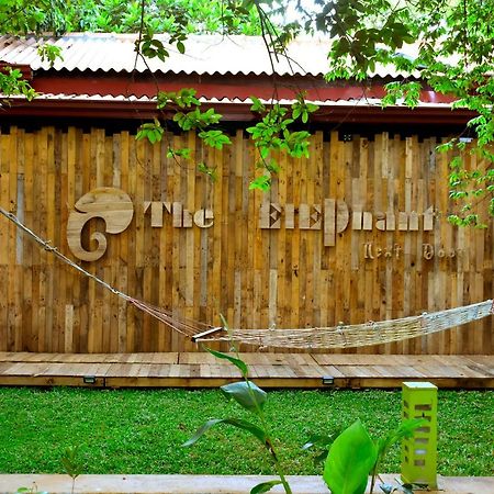 The Elephant Next-Door 达瓦拉维 外观 照片