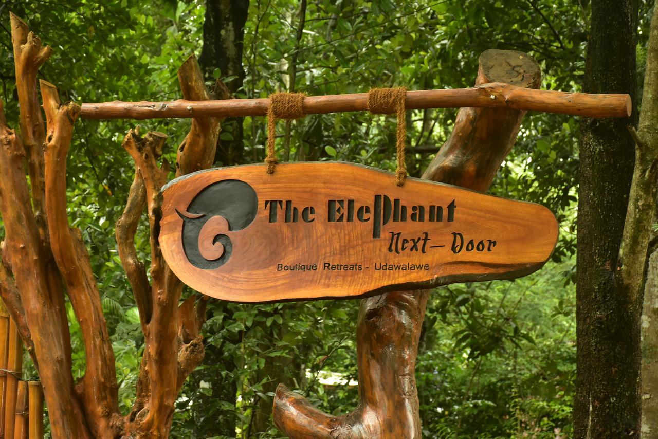 The Elephant Next-Door 达瓦拉维 外观 照片