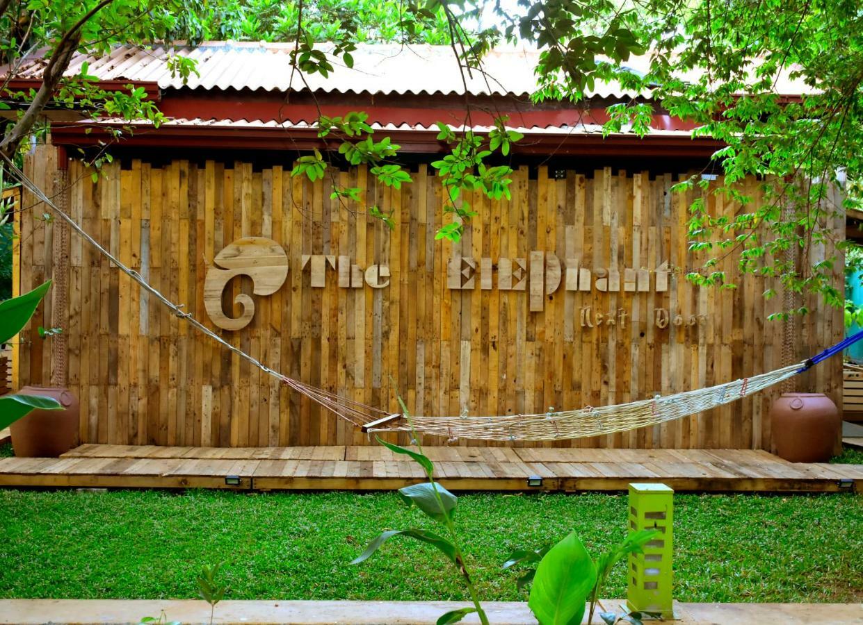 The Elephant Next-Door 达瓦拉维 外观 照片